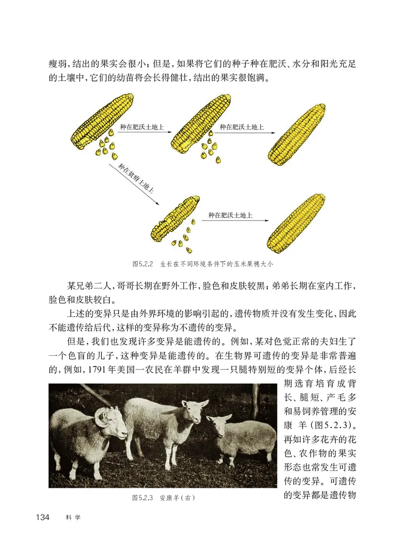 华师大9年级科学下册高清教材_4-教培资料-26年最新资料-同步更新_初中高中教资_03科三专项（进去保存报考的学科即可）_02科三专项（笔记真题思维导图教学设计版本二）