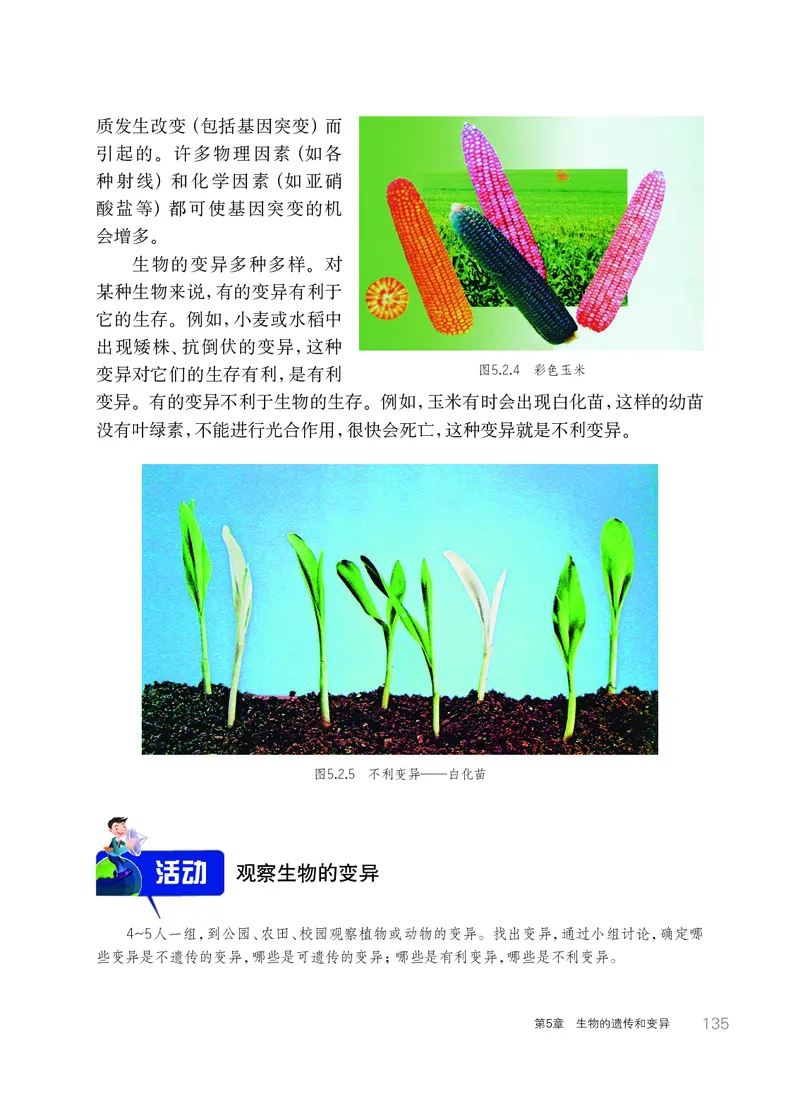 华师大9年级科学下册高清教材_4-教培资料-26年最新资料-同步更新_初中高中教资_03科三专项（进去保存报考的学科即可）_02科三专项（笔记真题思维导图教学设计版本二）