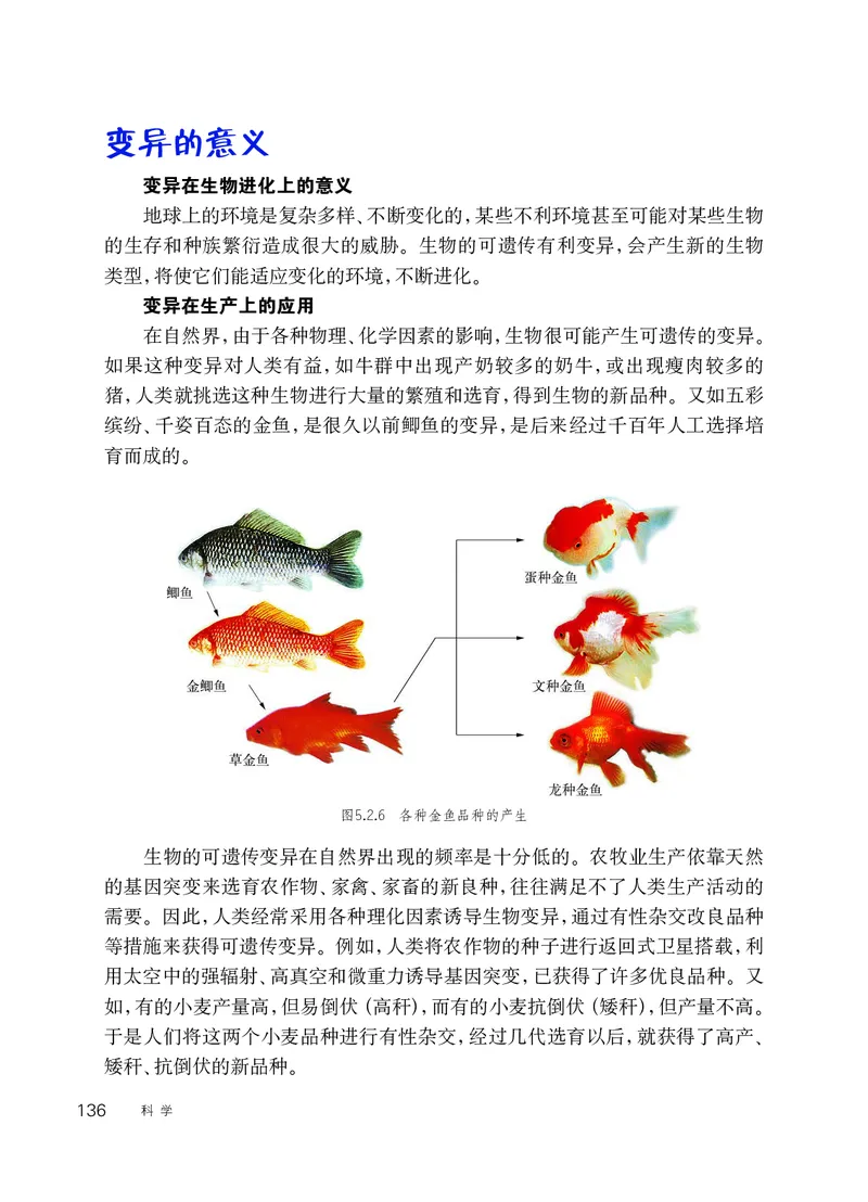 华师大9年级科学下册高清教材_4-教培资料-26年最新资料-同步更新_初中高中教资_03科三专项（进去保存报考的学科即可）_02科三专项（笔记真题思维导图教学设计版本二）