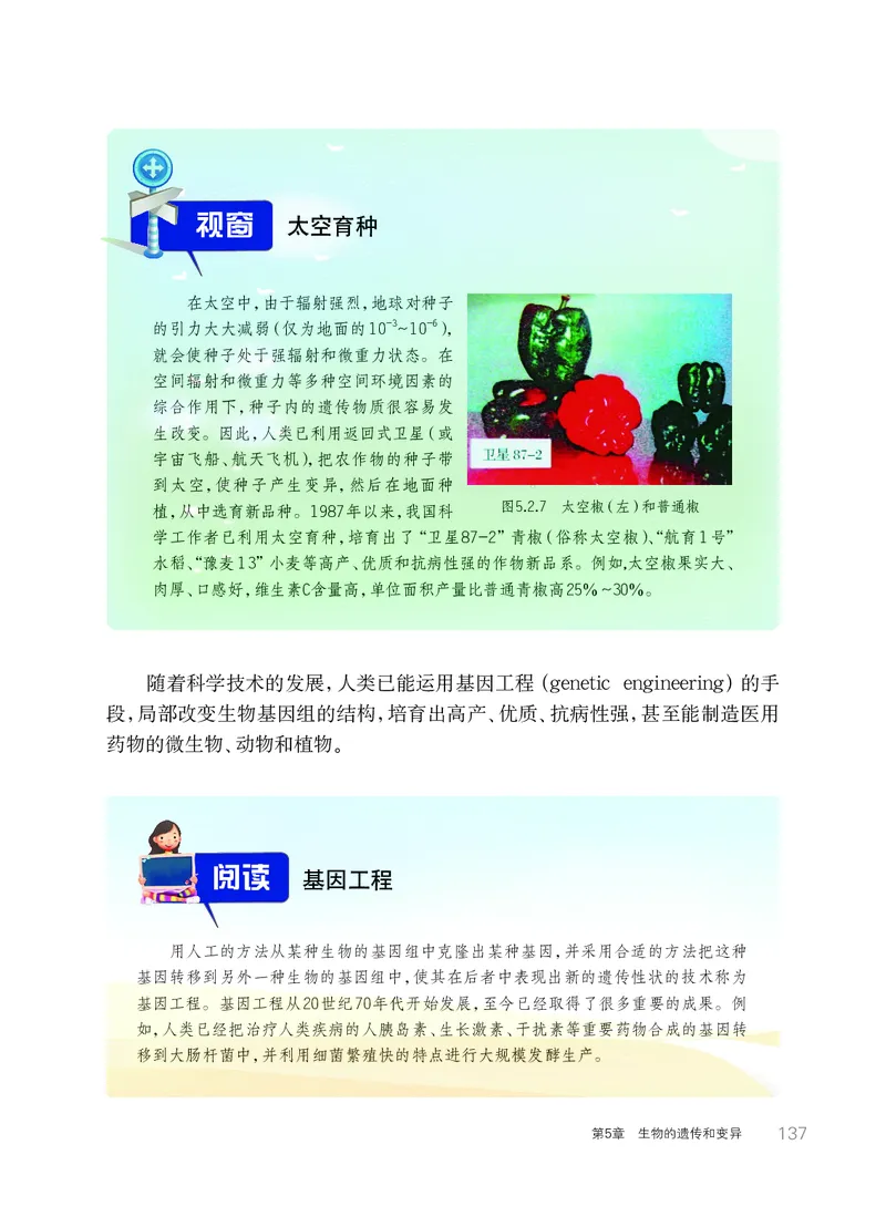 华师大9年级科学下册高清教材_4-教培资料-26年最新资料-同步更新_初中高中教资_03科三专项（进去保存报考的学科即可）_02科三专项（笔记真题思维导图教学设计版本二）