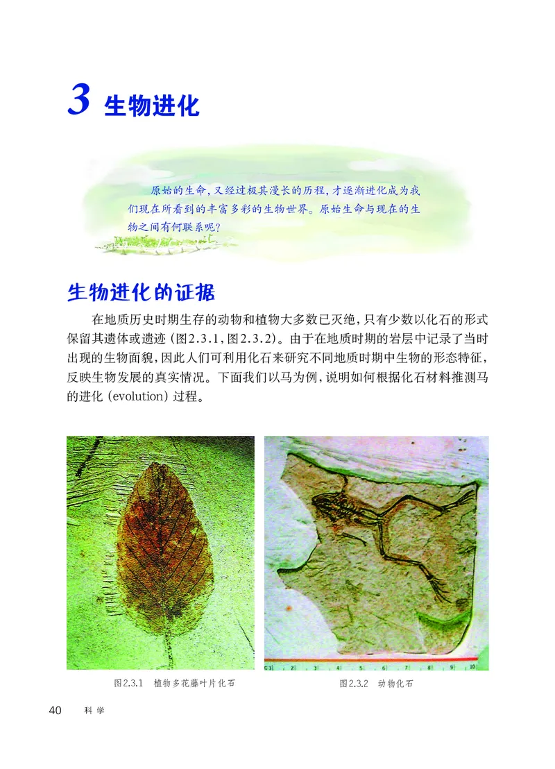 华师大9年级科学下册高清教材_4-教培资料-26年最新资料-同步更新_初中高中教资_03科三专项（进去保存报考的学科即可）_02科三专项（笔记真题思维导图教学设计版本二）