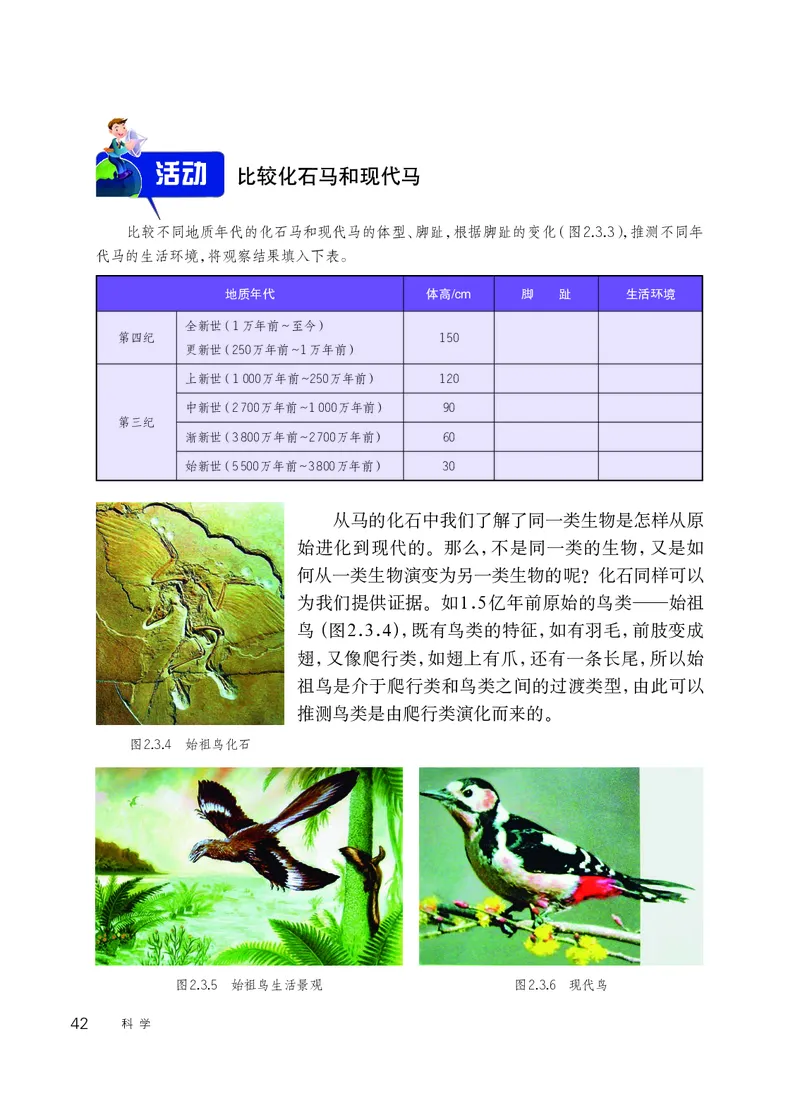 华师大9年级科学下册高清教材_4-教培资料-26年最新资料-同步更新_初中高中教资_03科三专项（进去保存报考的学科即可）_02科三专项（笔记真题思维导图教学设计版本二）