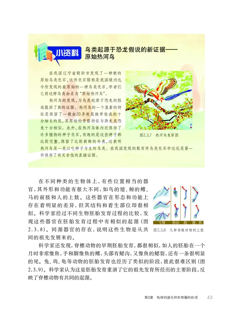 华师大9年级科学下册高清教材_4-教培资料-26年最新资料-同步更新_初中高中教资_03科三专项（进去保存报考的学科即可）_02科三专项（笔记真题思维导图教学设计版本二）