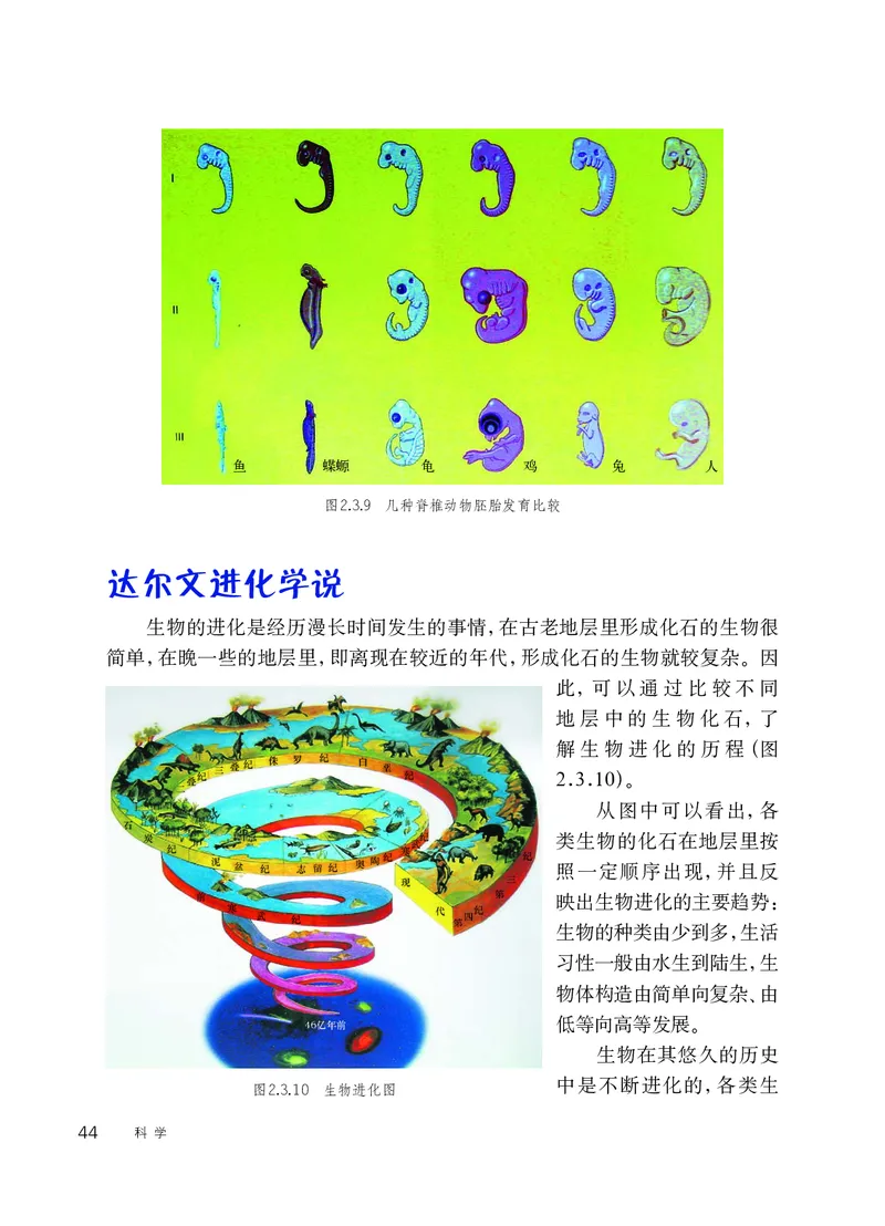 华师大9年级科学下册高清教材_4-教培资料-26年最新资料-同步更新_初中高中教资_03科三专项（进去保存报考的学科即可）_02科三专项（笔记真题思维导图教学设计版本二）