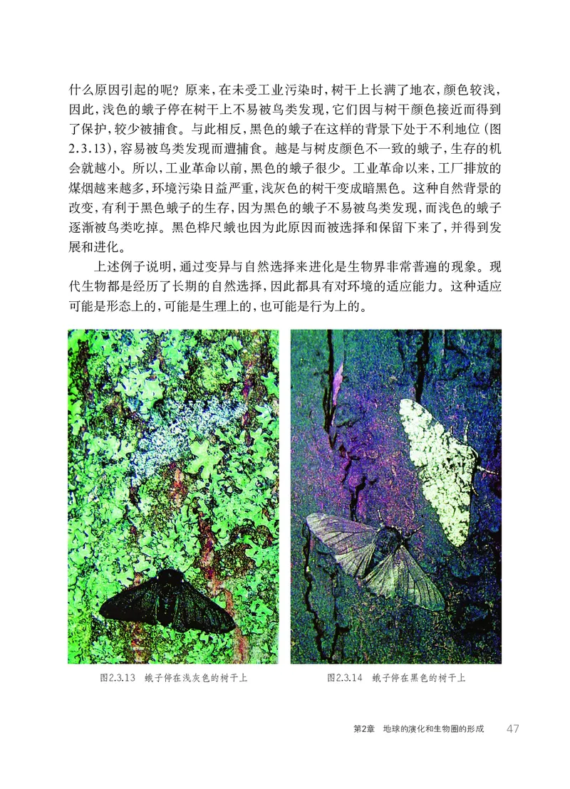 华师大9年级科学下册高清教材_4-教培资料-26年最新资料-同步更新_初中高中教资_03科三专项（进去保存报考的学科即可）_02科三专项（笔记真题思维导图教学设计版本二）