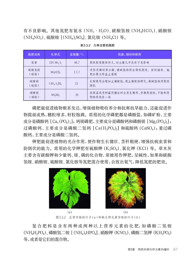华师大9年级科学下册高清教材_4-教培资料-26年最新资料-同步更新_初中高中教资_03科三专项（进去保存报考的学科即可）_02科三专项（笔记真题思维导图教学设计版本二）