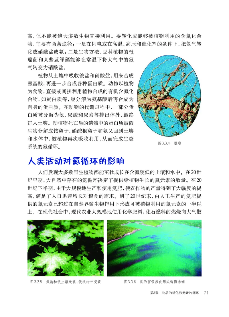 华师大9年级科学下册高清教材_4-教培资料-26年最新资料-同步更新_初中高中教资_03科三专项（进去保存报考的学科即可）_02科三专项（笔记真题思维导图教学设计版本二）