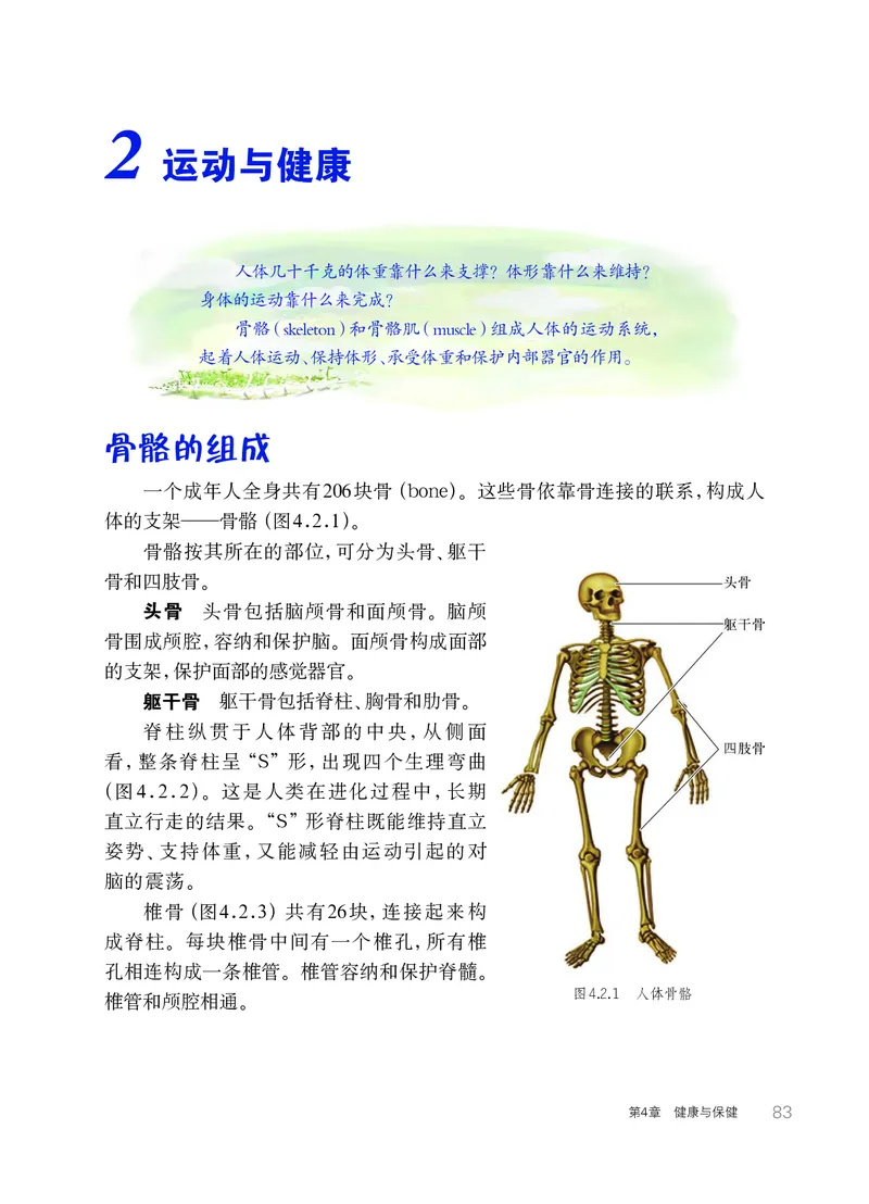 华师大9年级科学下册高清教材_4-教培资料-26年最新资料-同步更新_初中高中教资_03科三专项（进去保存报考的学科即可）_02科三专项（笔记真题思维导图教学设计版本二）