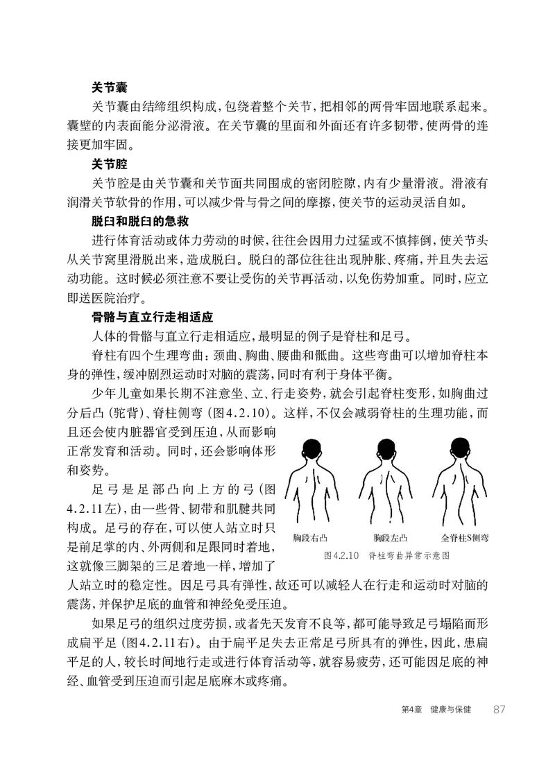 华师大9年级科学下册高清教材_4-教培资料-26年最新资料-同步更新_初中高中教资_03科三专项（进去保存报考的学科即可）_02科三专项（笔记真题思维导图教学设计版本二）