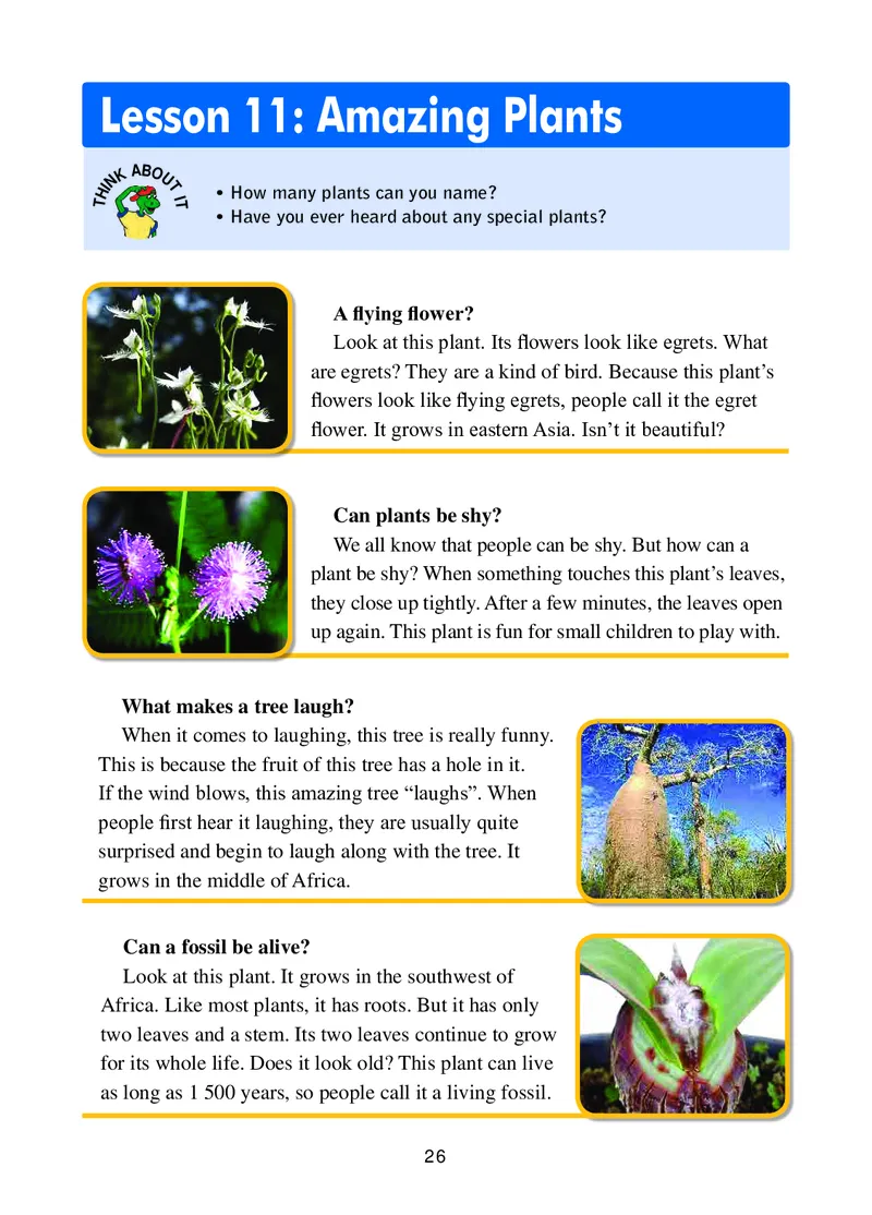 冀教版8年级英语下册高清教材_4-教培资料-26年最新资料-同步更新_初中高中教资_03科三专项（进去保存报考的学科即可）_02科三专项（笔记真题思维导图教学设计版本二）