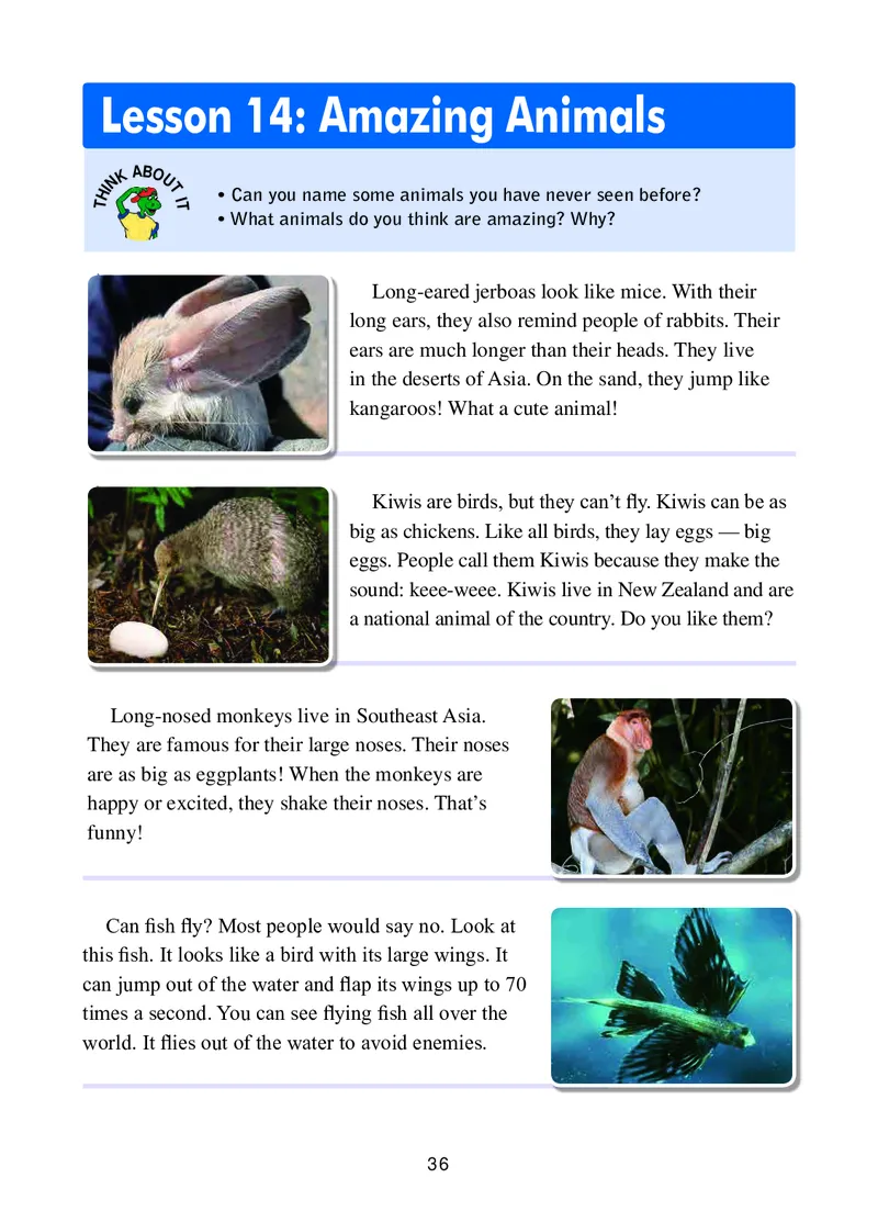 冀教版8年级英语下册高清教材_4-教培资料-26年最新资料-同步更新_初中高中教资_03科三专项（进去保存报考的学科即可）_02科三专项（笔记真题思维导图教学设计版本二）