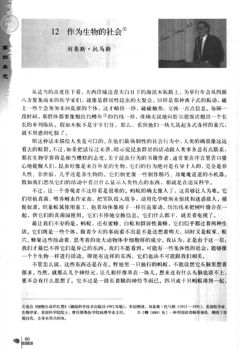 人教版高中语文必修5_4-教培资料-26年最新资料-同步更新_初中高中教资_03科三专项（进去保存报考的学科即可）_02科三专项（笔记真题思维导图教学设计版本二）