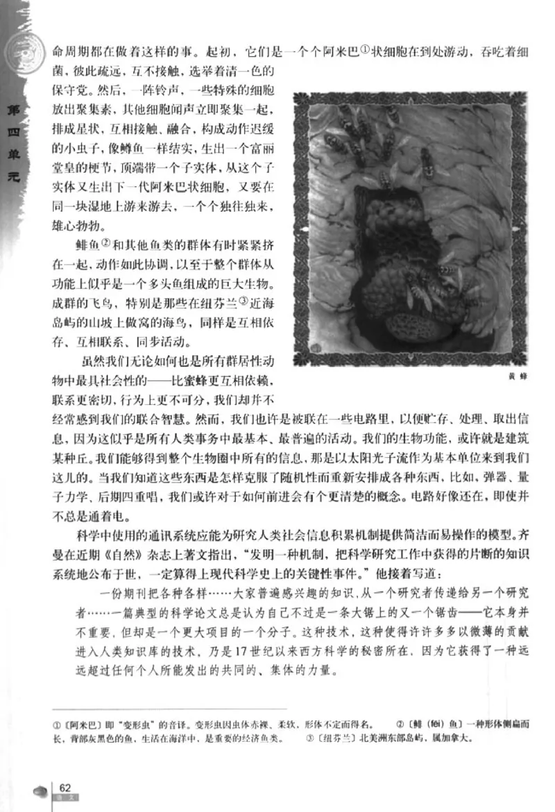 人教版高中语文必修5_4-教培资料-26年最新资料-同步更新_初中高中教资_03科三专项（进去保存报考的学科即可）_02科三专项（笔记真题思维导图教学设计版本二）