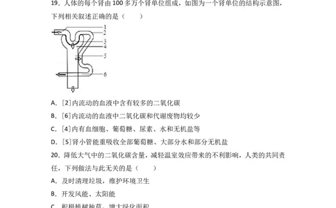 2017年德州市中考生物真题试题(解析版)_中考真题_8.生物中考真题2015-2024年_地区卷_山东省_山东德州生物11-20