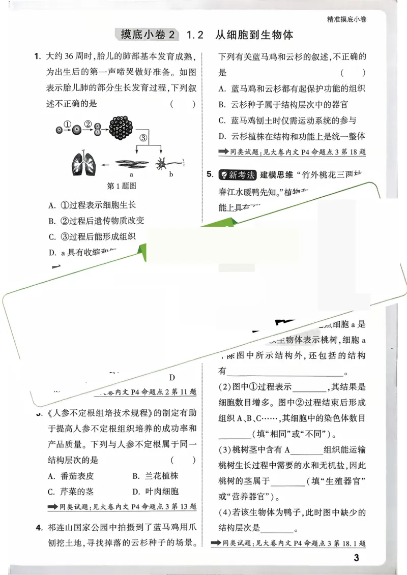 生物_精准摸底小卷_2026万唯系列预习复习_2026版初中《万唯》中考真题分类与新考法（语数外物历道生）_2026万唯中考生物分类与新考法