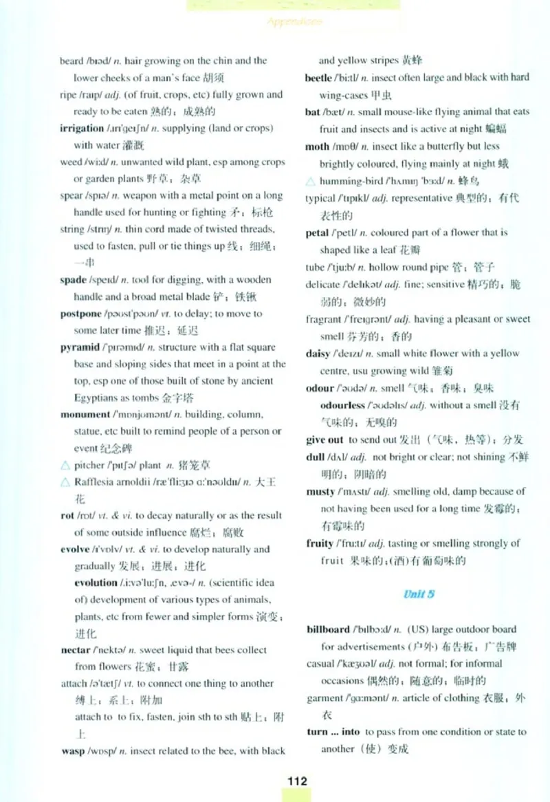 人教版高中英语选修9_4-教培资料-26年最新资料-同步更新_初中高中教资_03科三专项（进去保存报考的学科即可）_02科三专项（笔记真题思维导图教学设计版本二）
