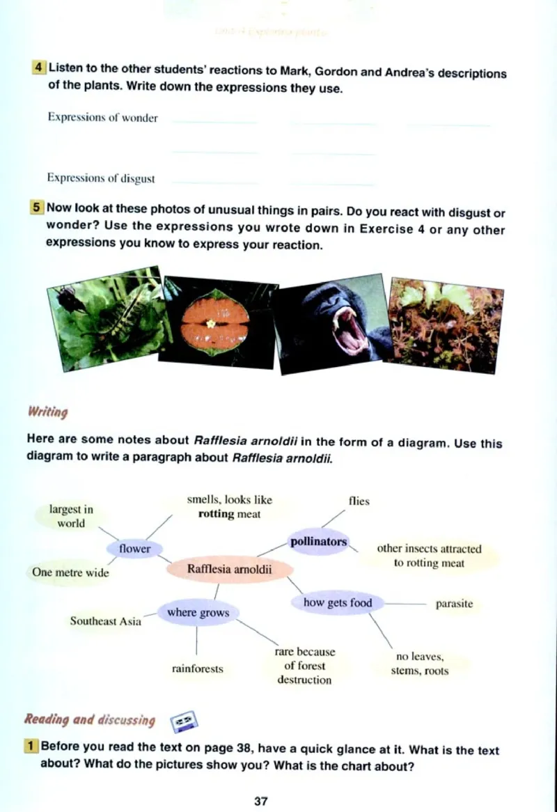 人教版高中英语选修9_4-教培资料-26年最新资料-同步更新_初中高中教资_03科三专项（进去保存报考的学科即可）_02科三专项（笔记真题思维导图教学设计版本二）