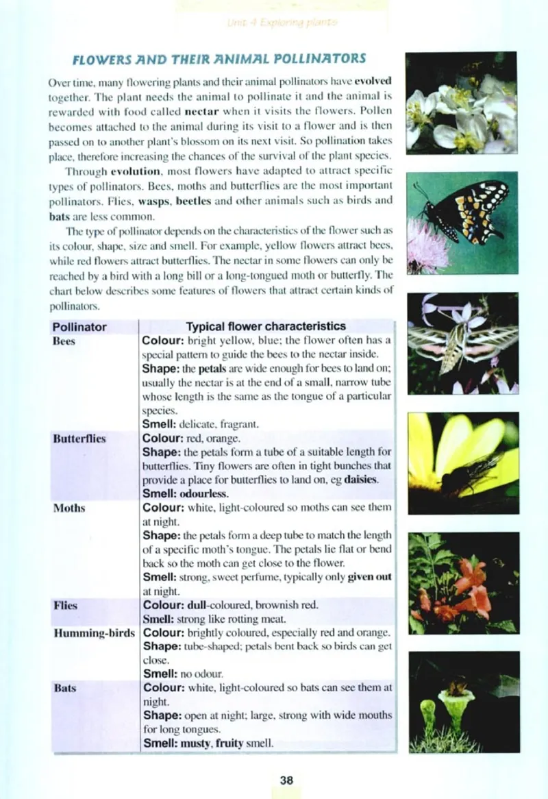 人教版高中英语选修9_4-教培资料-26年最新资料-同步更新_初中高中教资_03科三专项（进去保存报考的学科即可）_02科三专项（笔记真题思维导图教学设计版本二）