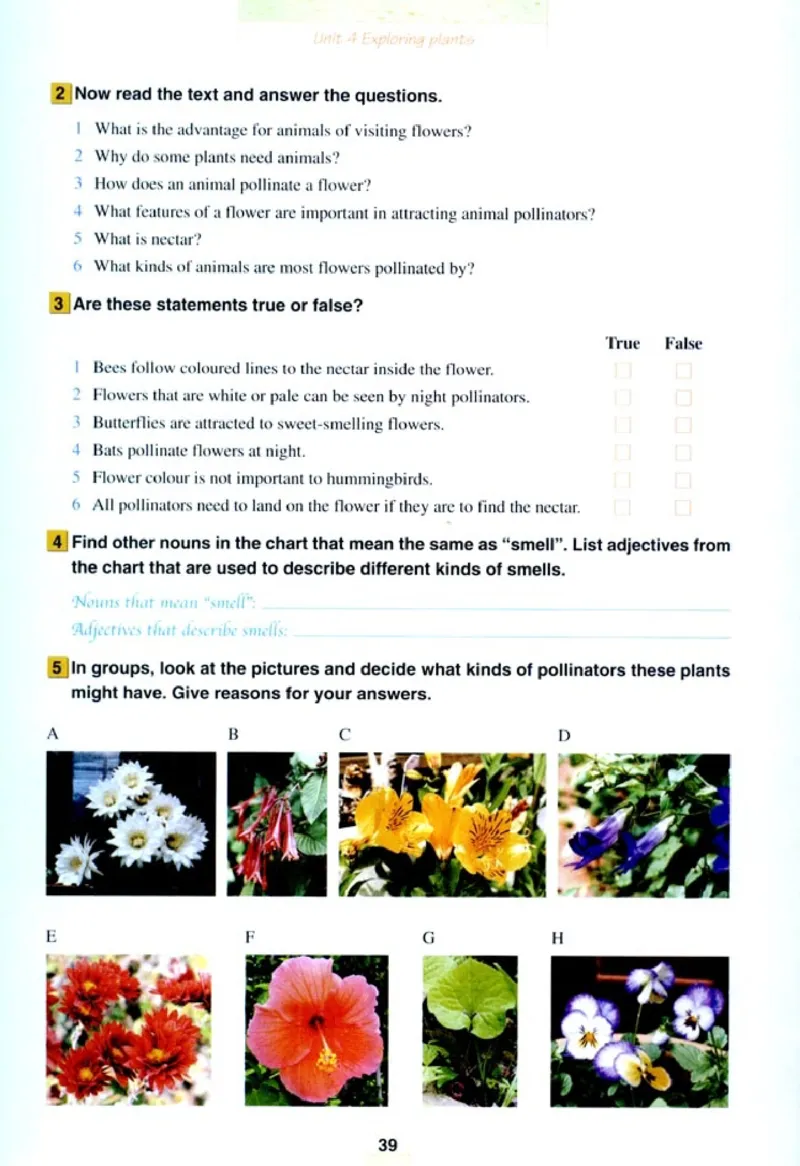 人教版高中英语选修9_4-教培资料-26年最新资料-同步更新_初中高中教资_03科三专项（进去保存报考的学科即可）_02科三专项（笔记真题思维导图教学设计版本二）