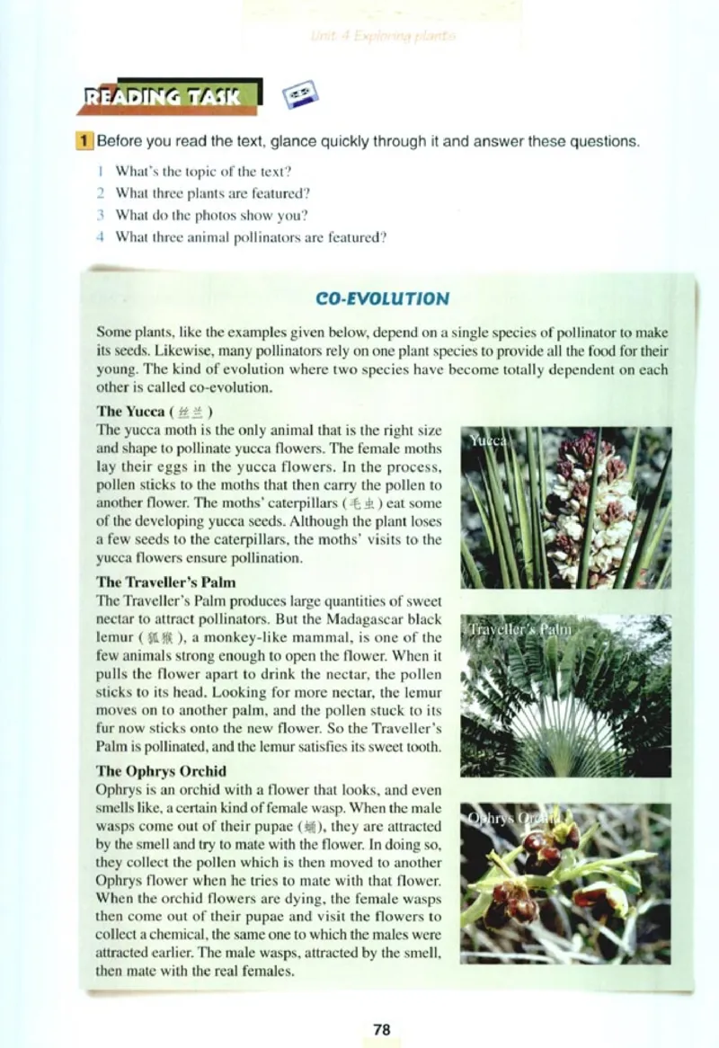 人教版高中英语选修9_4-教培资料-26年最新资料-同步更新_初中高中教资_03科三专项（进去保存报考的学科即可）_02科三专项（笔记真题思维导图教学设计版本二）