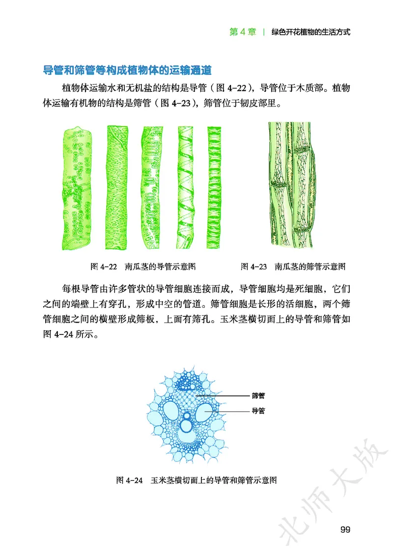 北师大7年级生物上册高清教材_4-教培资料-26年最新资料-同步更新_初中高中教资_03科三专项（进去保存报考的学科即可）_02科三专项（笔记真题思维导图教学设计版本二）