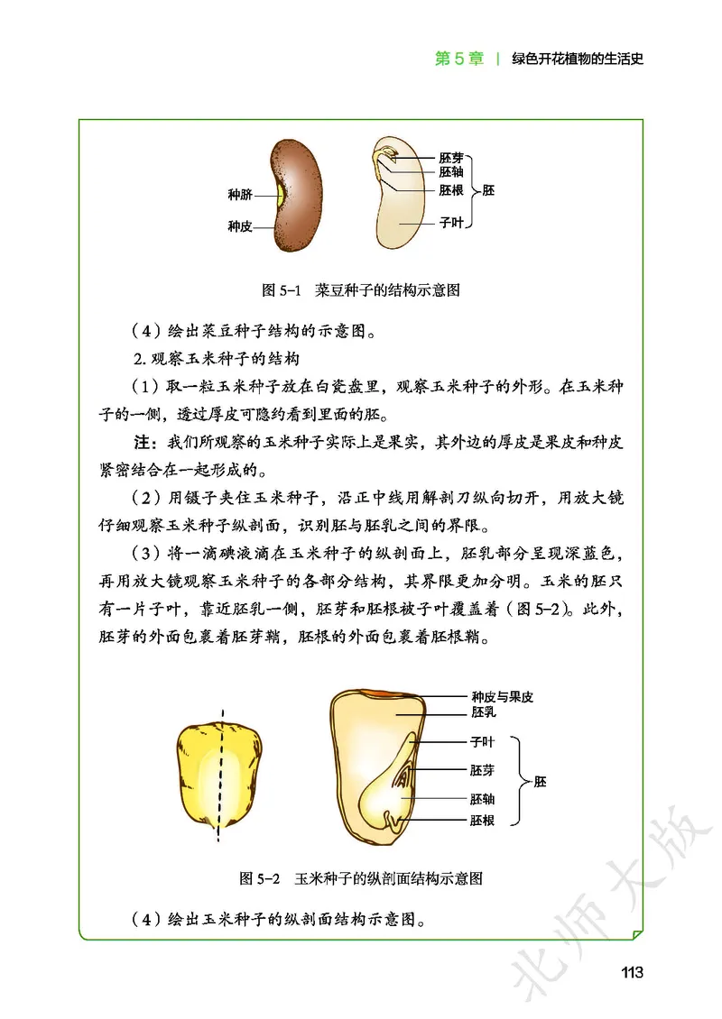 北师大7年级生物上册高清教材_4-教培资料-26年最新资料-同步更新_初中高中教资_03科三专项（进去保存报考的学科即可）_02科三专项（笔记真题思维导图教学设计版本二）