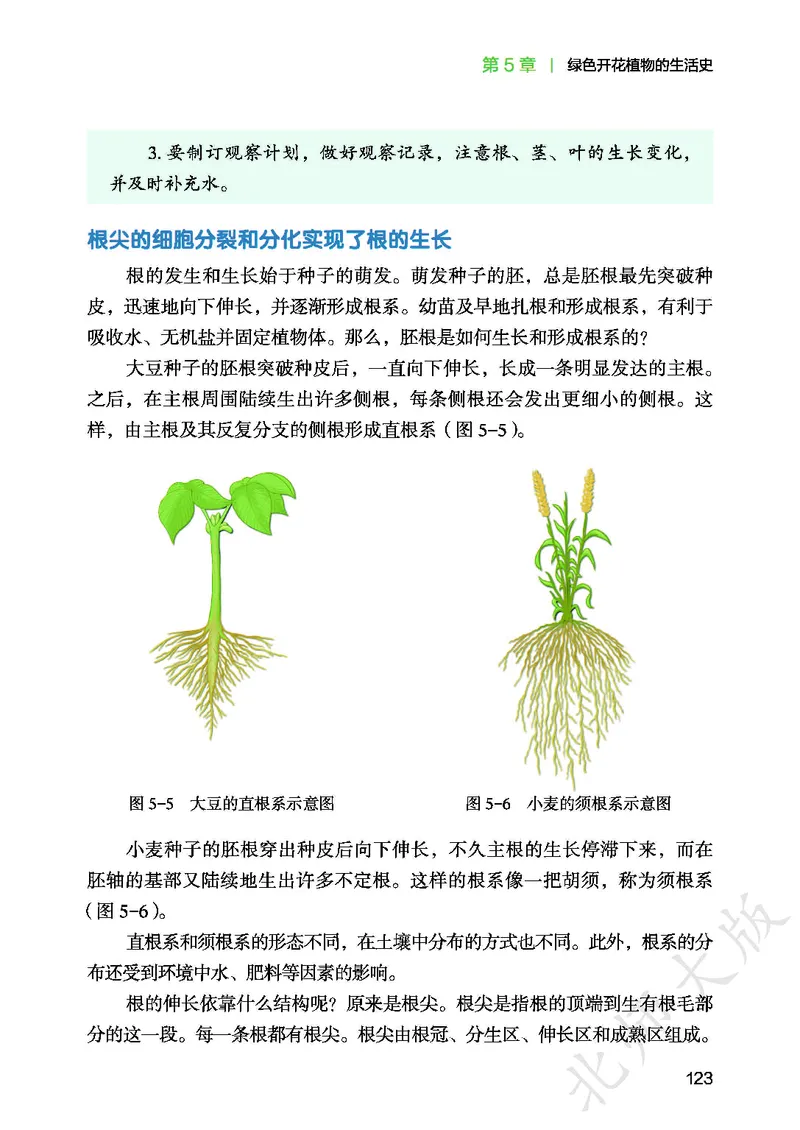 北师大7年级生物上册高清教材_4-教培资料-26年最新资料-同步更新_初中高中教资_03科三专项（进去保存报考的学科即可）_02科三专项（笔记真题思维导图教学设计版本二）