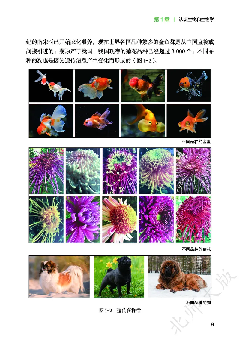 北师大7年级生物上册高清教材_4-教培资料-26年最新资料-同步更新_初中高中教资_03科三专项（进去保存报考的学科即可）_02科三专项（笔记真题思维导图教学设计版本二）