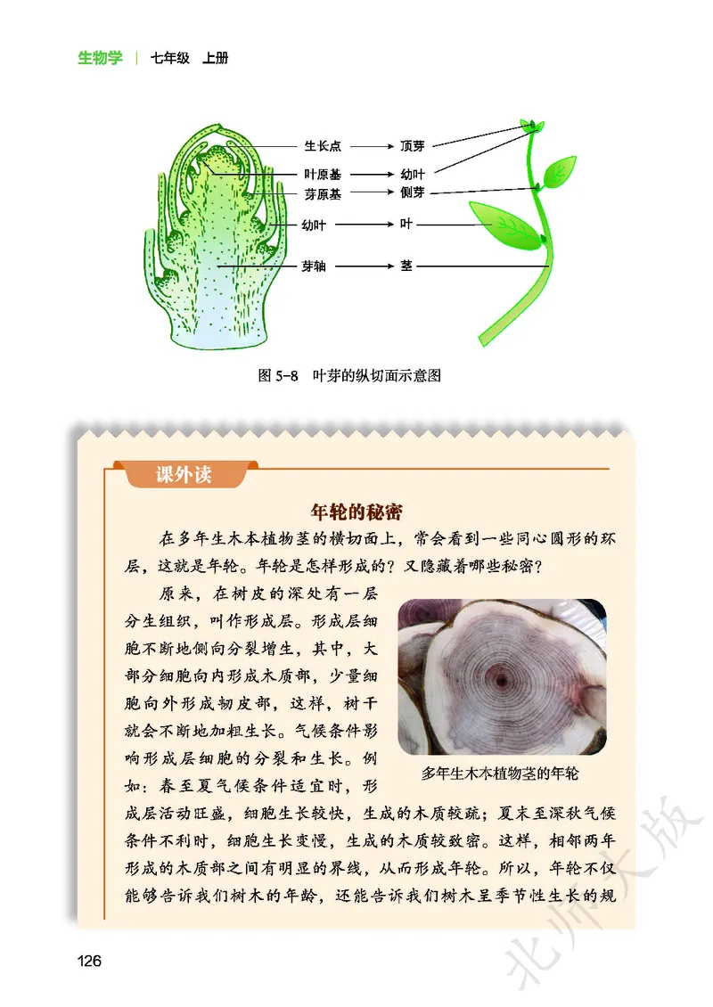 北师大7年级生物上册高清教材_4-教培资料-26年最新资料-同步更新_初中高中教资_03科三专项（进去保存报考的学科即可）_02科三专项（笔记真题思维导图教学设计版本二）