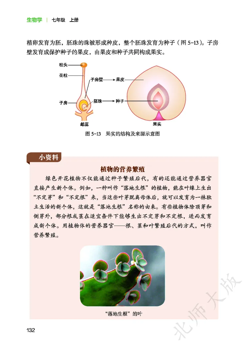 北师大7年级生物上册高清教材_4-教培资料-26年最新资料-同步更新_初中高中教资_03科三专项（进去保存报考的学科即可）_02科三专项（笔记真题思维导图教学设计版本二）