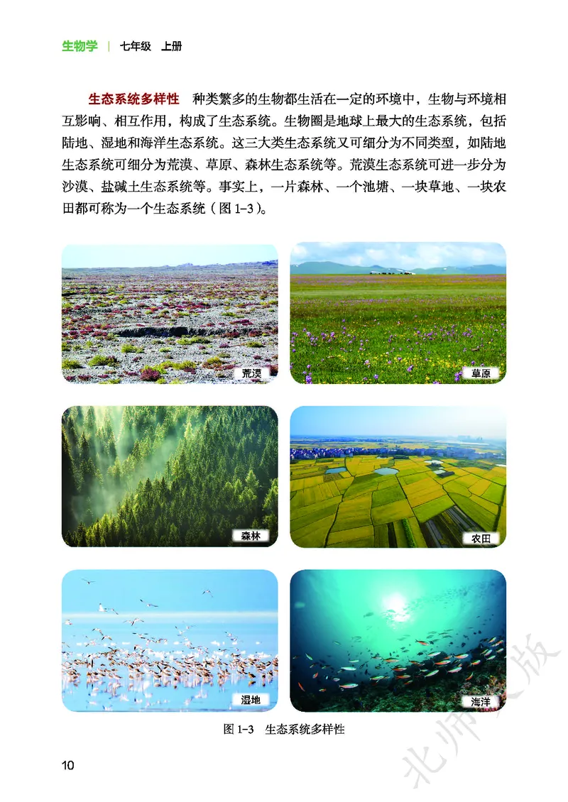 北师大7年级生物上册高清教材_4-教培资料-26年最新资料-同步更新_初中高中教资_03科三专项（进去保存报考的学科即可）_02科三专项（笔记真题思维导图教学设计版本二）
