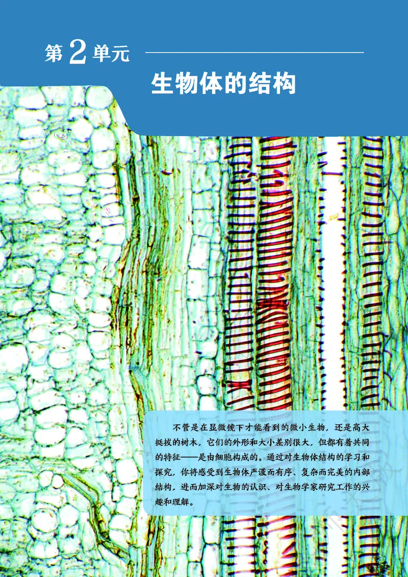 北师大7年级生物上册高清教材_4-教培资料-26年最新资料-同步更新_初中高中教资_03科三专项（进去保存报考的学科即可）_02科三专项（笔记真题思维导图教学设计版本二）