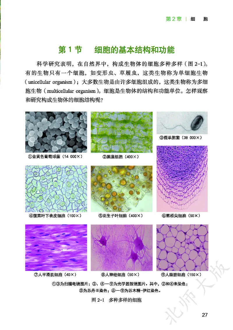 北师大7年级生物上册高清教材_4-教培资料-26年最新资料-同步更新_初中高中教资_03科三专项（进去保存报考的学科即可）_02科三专项（笔记真题思维导图教学设计版本二）