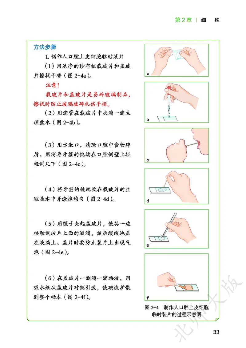 北师大7年级生物上册高清教材_4-教培资料-26年最新资料-同步更新_初中高中教资_03科三专项（进去保存报考的学科即可）_02科三专项（笔记真题思维导图教学设计版本二）