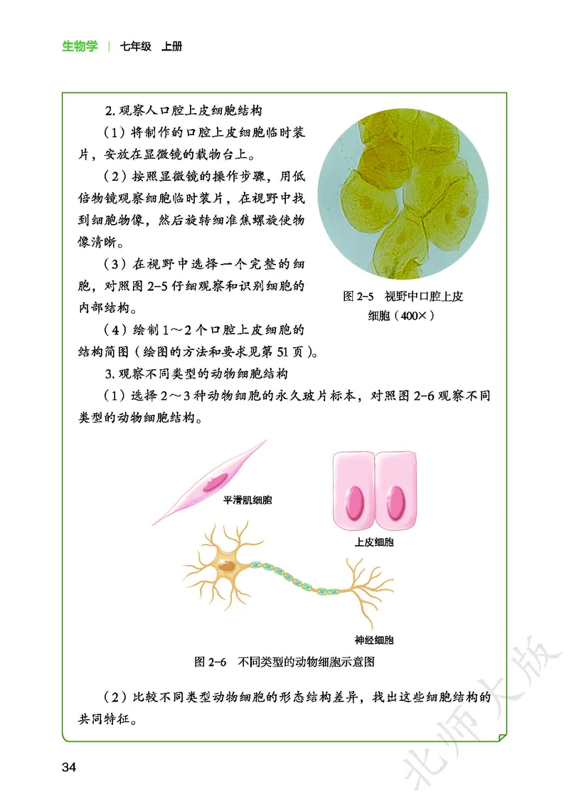 北师大7年级生物上册高清教材_4-教培资料-26年最新资料-同步更新_初中高中教资_03科三专项（进去保存报考的学科即可）_02科三专项（笔记真题思维导图教学设计版本二）