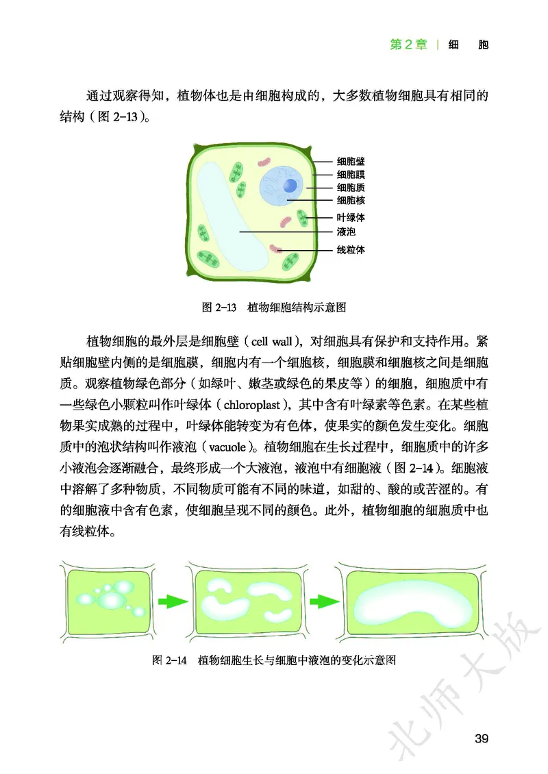 北师大7年级生物上册高清教材_4-教培资料-26年最新资料-同步更新_初中高中教资_03科三专项（进去保存报考的学科即可）_02科三专项（笔记真题思维导图教学设计版本二）