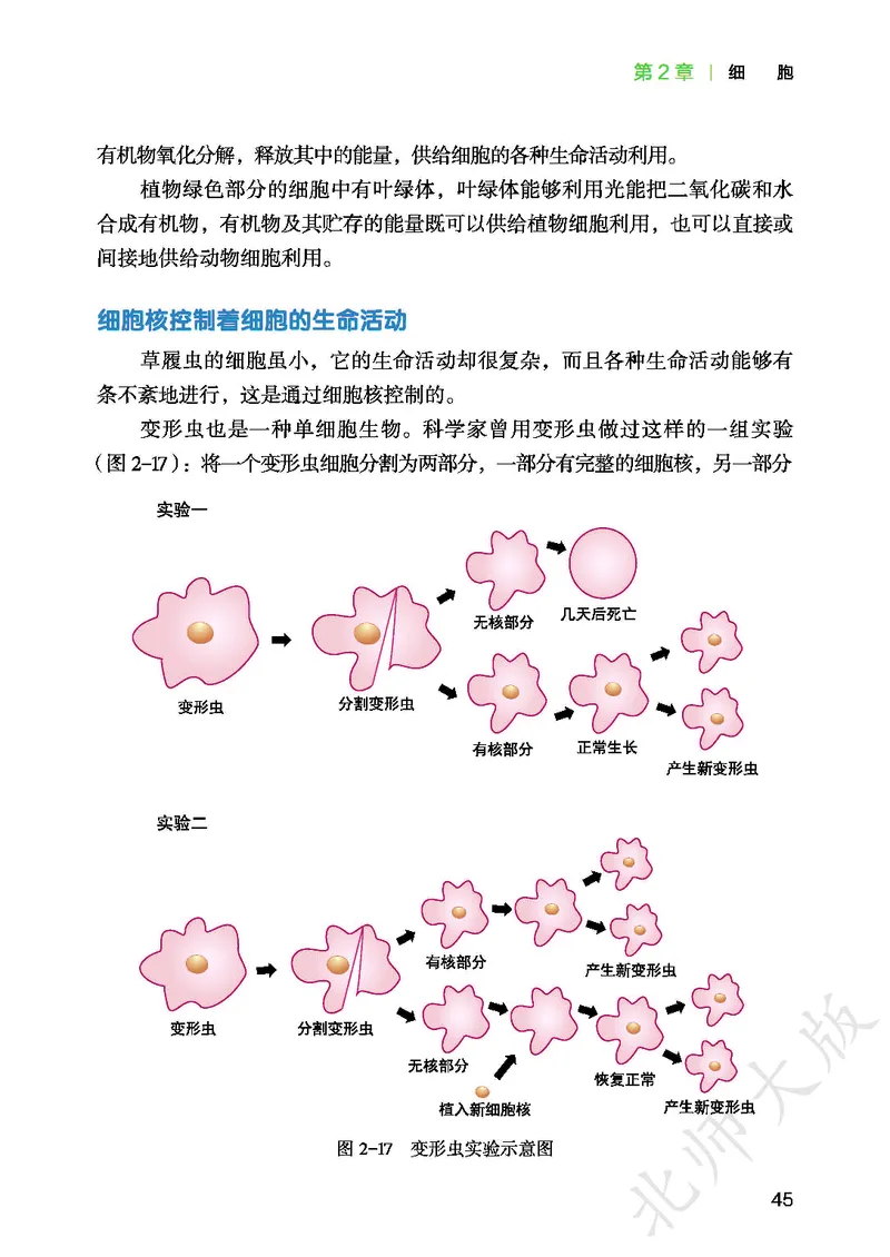北师大7年级生物上册高清教材_4-教培资料-26年最新资料-同步更新_初中高中教资_03科三专项（进去保存报考的学科即可）_02科三专项（笔记真题思维导图教学设计版本二）