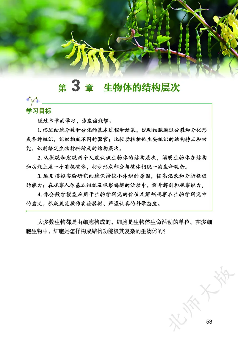 北师大7年级生物上册高清教材_4-教培资料-26年最新资料-同步更新_初中高中教资_03科三专项（进去保存报考的学科即可）_02科三专项（笔记真题思维导图教学设计版本二）