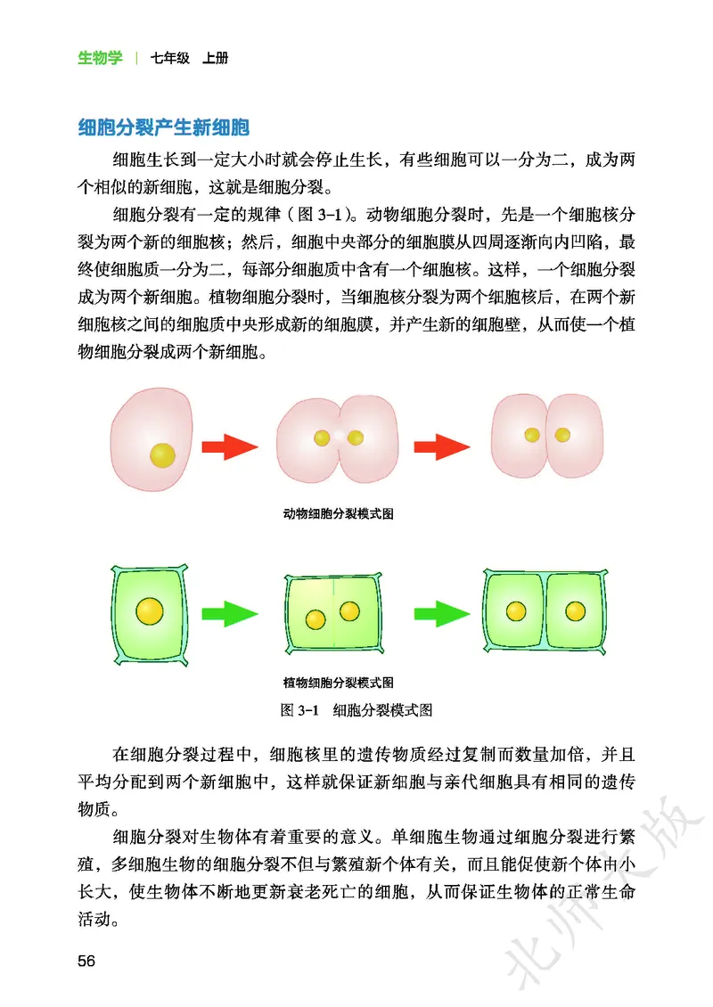 北师大7年级生物上册高清教材_4-教培资料-26年最新资料-同步更新_初中高中教资_03科三专项（进去保存报考的学科即可）_02科三专项（笔记真题思维导图教学设计版本二）