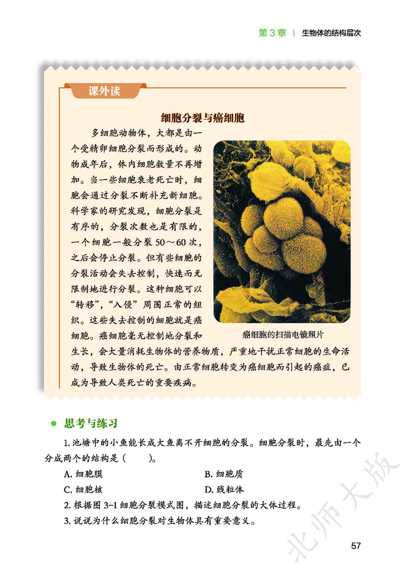北师大7年级生物上册高清教材_4-教培资料-26年最新资料-同步更新_初中高中教资_03科三专项（进去保存报考的学科即可）_02科三专项（笔记真题思维导图教学设计版本二）