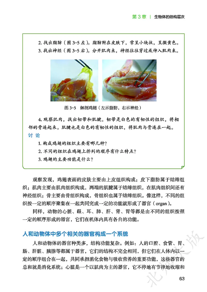 北师大7年级生物上册高清教材_4-教培资料-26年最新资料-同步更新_初中高中教资_03科三专项（进去保存报考的学科即可）_02科三专项（笔记真题思维导图教学设计版本二）