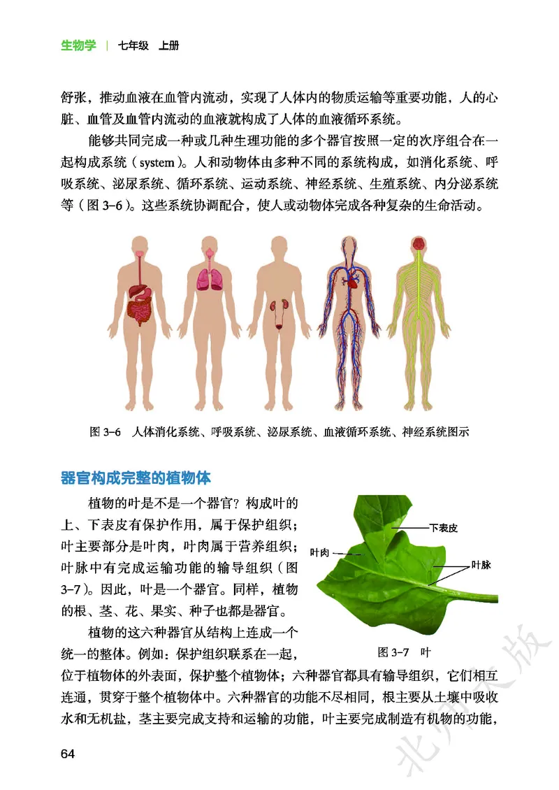 北师大7年级生物上册高清教材_4-教培资料-26年最新资料-同步更新_初中高中教资_03科三专项（进去保存报考的学科即可）_02科三专项（笔记真题思维导图教学设计版本二）