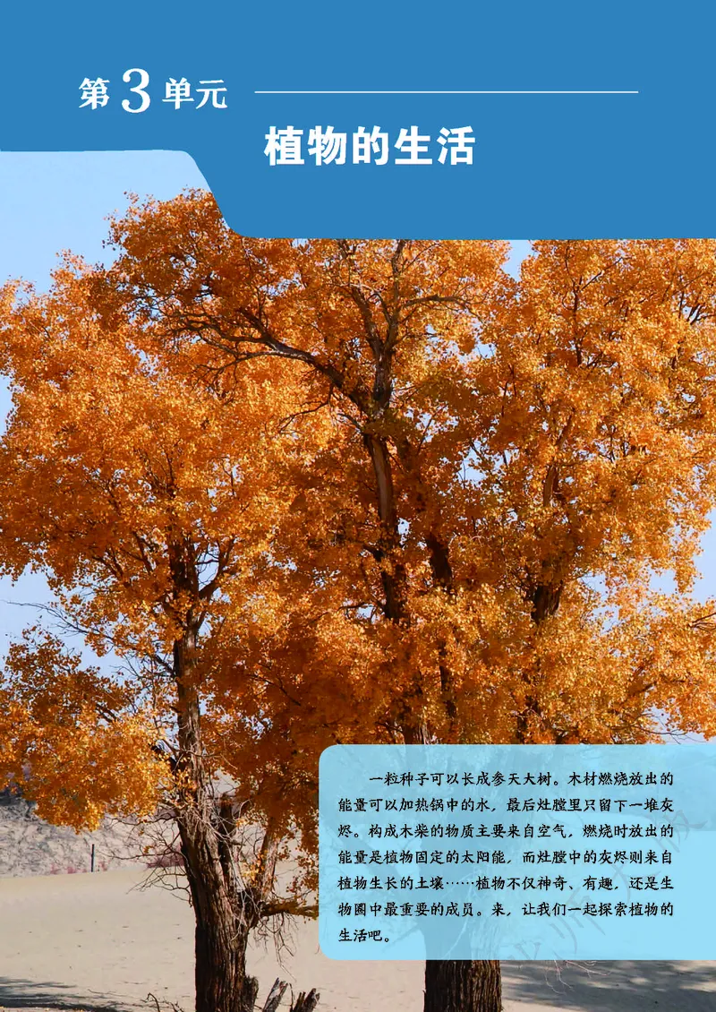 北师大7年级生物上册高清教材_4-教培资料-26年最新资料-同步更新_初中高中教资_03科三专项（进去保存报考的学科即可）_02科三专项（笔记真题思维导图教学设计版本二）