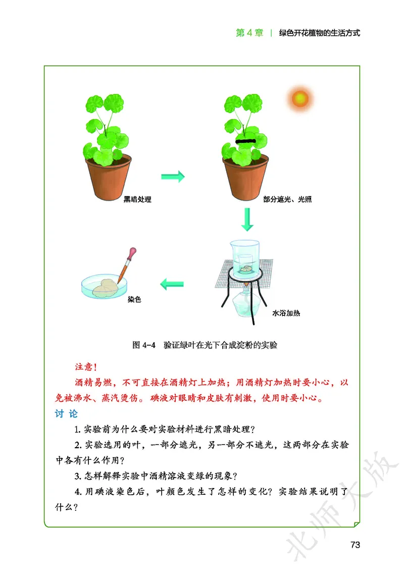 北师大7年级生物上册高清教材_4-教培资料-26年最新资料-同步更新_初中高中教资_03科三专项（进去保存报考的学科即可）_02科三专项（笔记真题思维导图教学设计版本二）