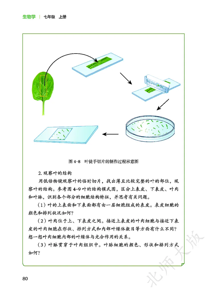 北师大7年级生物上册高清教材_4-教培资料-26年最新资料-同步更新_初中高中教资_03科三专项（进去保存报考的学科即可）_02科三专项（笔记真题思维导图教学设计版本二）