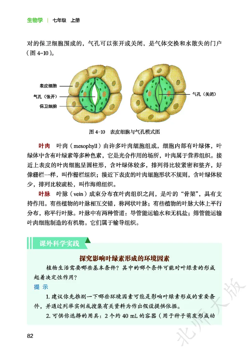 北师大7年级生物上册高清教材_4-教培资料-26年最新资料-同步更新_初中高中教资_03科三专项（进去保存报考的学科即可）_02科三专项（笔记真题思维导图教学设计版本二）