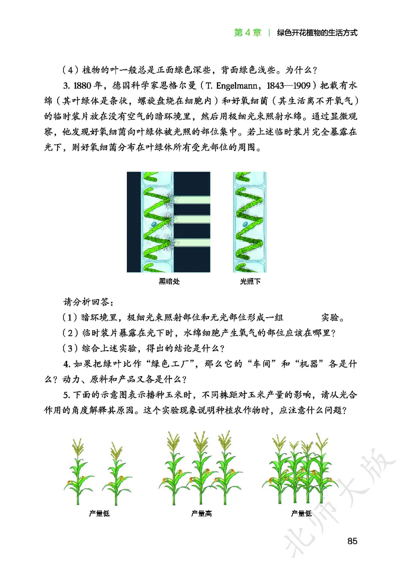 北师大7年级生物上册高清教材_4-教培资料-26年最新资料-同步更新_初中高中教资_03科三专项（进去保存报考的学科即可）_02科三专项（笔记真题思维导图教学设计版本二）