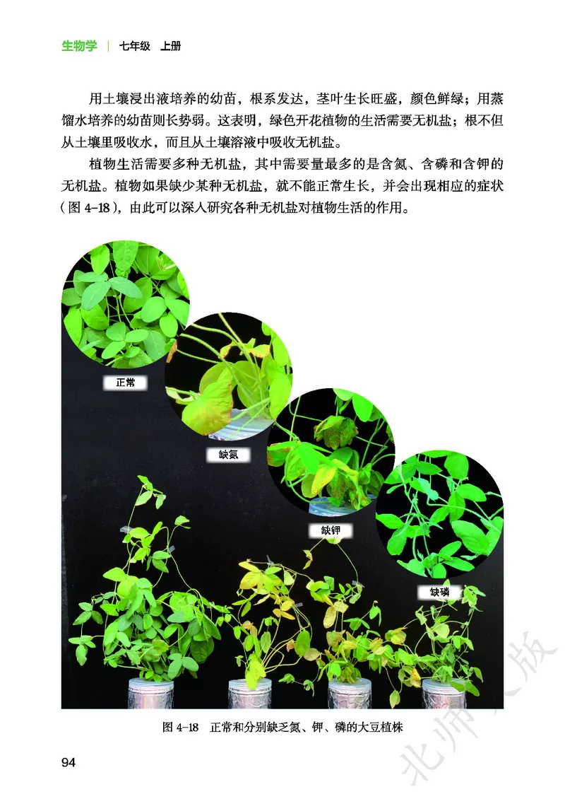 北师大7年级生物上册高清教材_4-教培资料-26年最新资料-同步更新_初中高中教资_03科三专项（进去保存报考的学科即可）_02科三专项（笔记真题思维导图教学设计版本二）