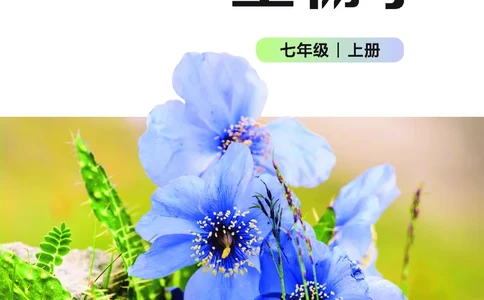 北师大7年级生物上册高清教材_4-教培资料-26年最新资料-同步更新_初中高中教资_03科三专项（进去保存报考的学科即可）_02科三专项（笔记真题思维导图教学设计版本二）