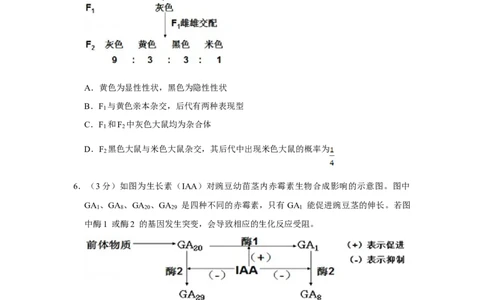 2013年高考生物试卷（天津）（空白卷）_1.高考2025全国各省真题+答案_01.2008-2024全国高考真题（按省份分类）_30.天津_2008-2024&middot;（天津）生物高考真题